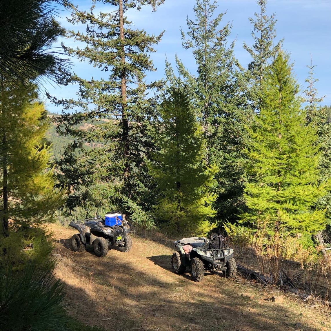 atv cowiche canyon grizzly 700