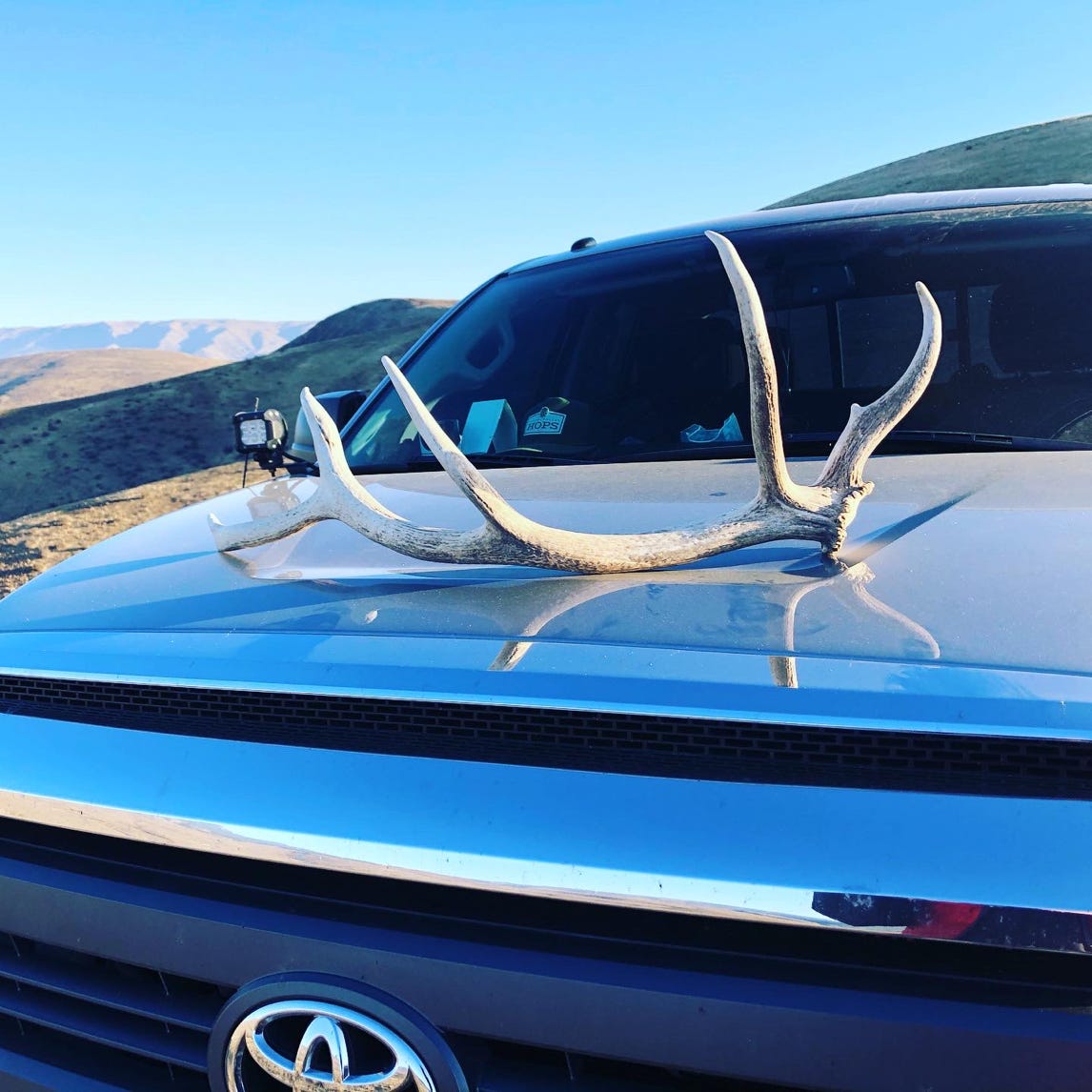 elk horns cowiche canyon