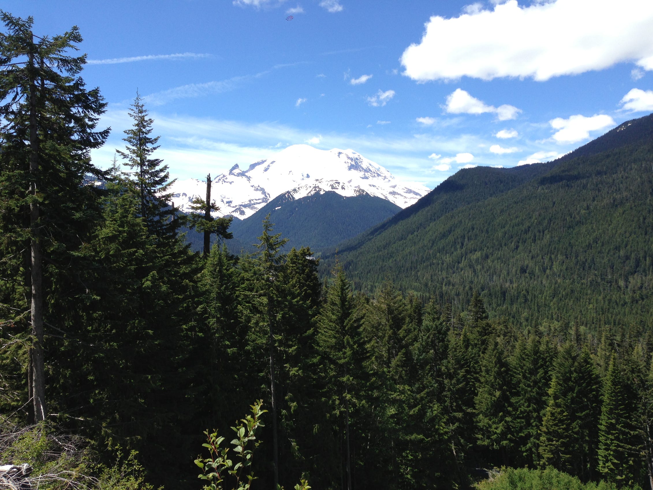 Kick that one-sided 9-5 to the curb and say hello to cows, crickets and canyon views!