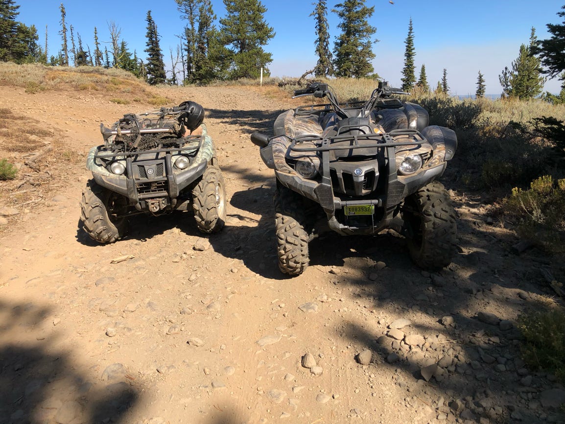 grizzly atv 700 - 450