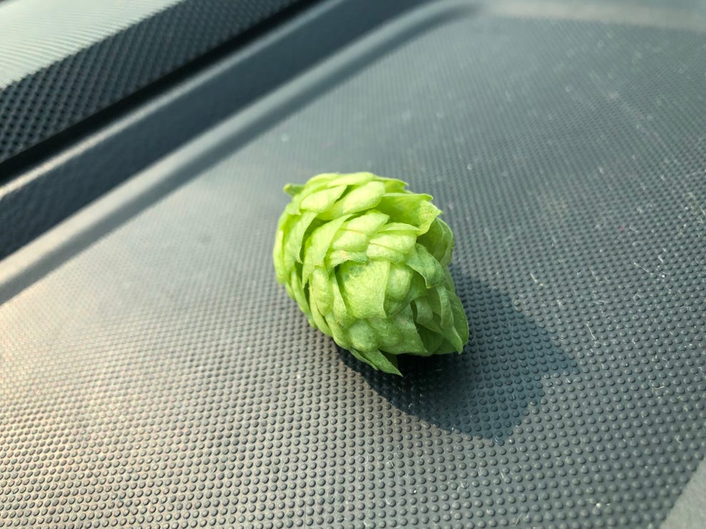 yakima valley hops