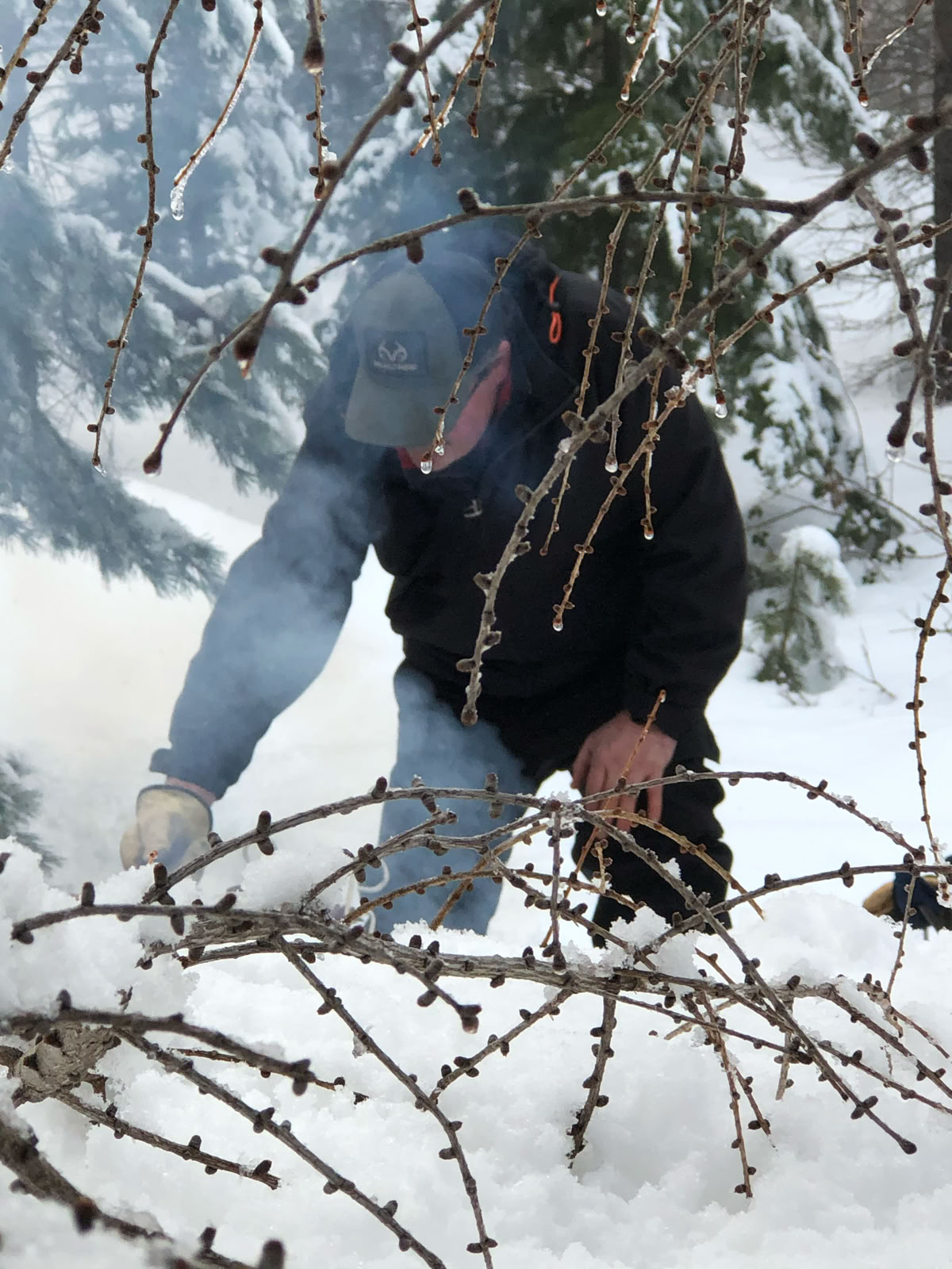 fire in the woods cowiche