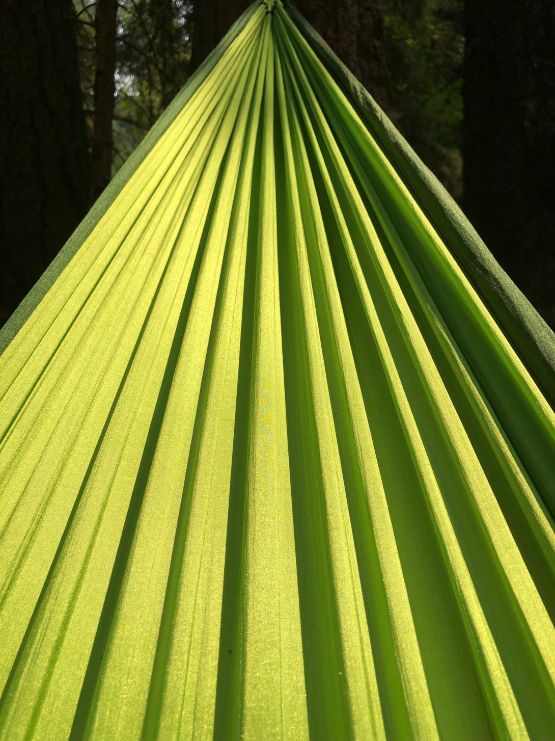 hammock 2