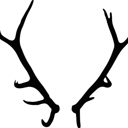 antler-561290_960_720.png